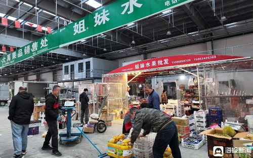 打造“超級菜籃子” 禹城智慧冷鏈物流產業園煥新區域農產品流通格局