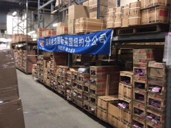 歐洲直發包稅出口 一線電子產品物流解決方案